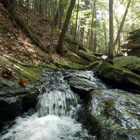 Chesterfield Gorge State Park - All You Need to Know BEFORE You Go