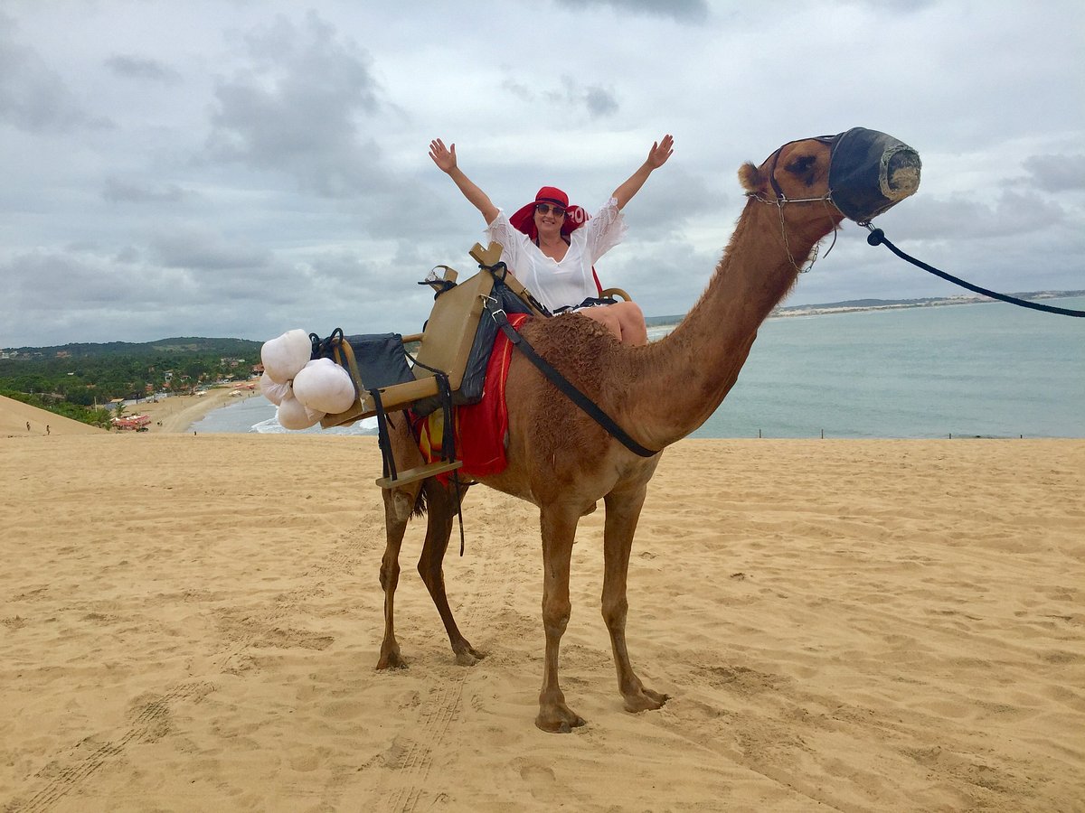 Passeios de Dromedários (Natal) - ATUALIZADO 2023 O que saber antes de ir - Sobre o que as pessoas estão falando - Tripadvisor Passeios de Dromedários (Natal) - ATUALIZADO 2023 O que saber antes de ir - Sobre o que as pessoas estão falando - Tripadvisor