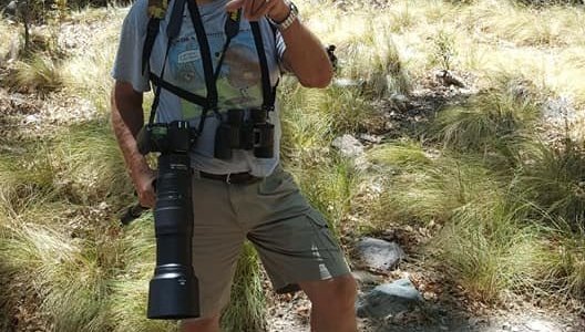 Local birder and photographer Kordeen Kor.