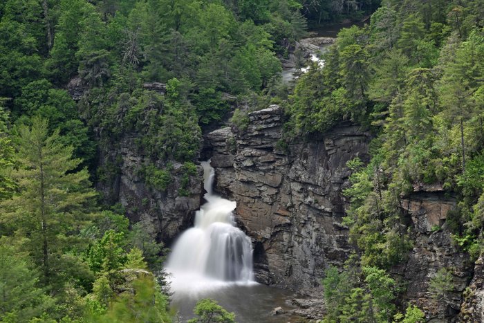 are dogs allowed at linville falls