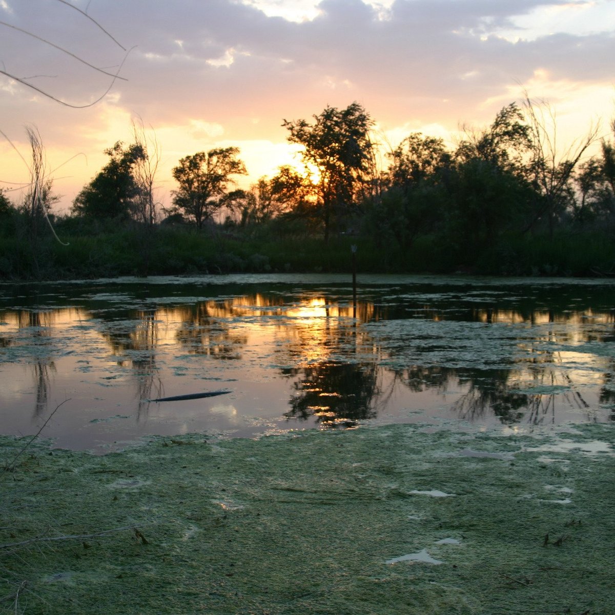 West Texas Adventures (Brownfield) All You Need to Know BEFORE You Go
