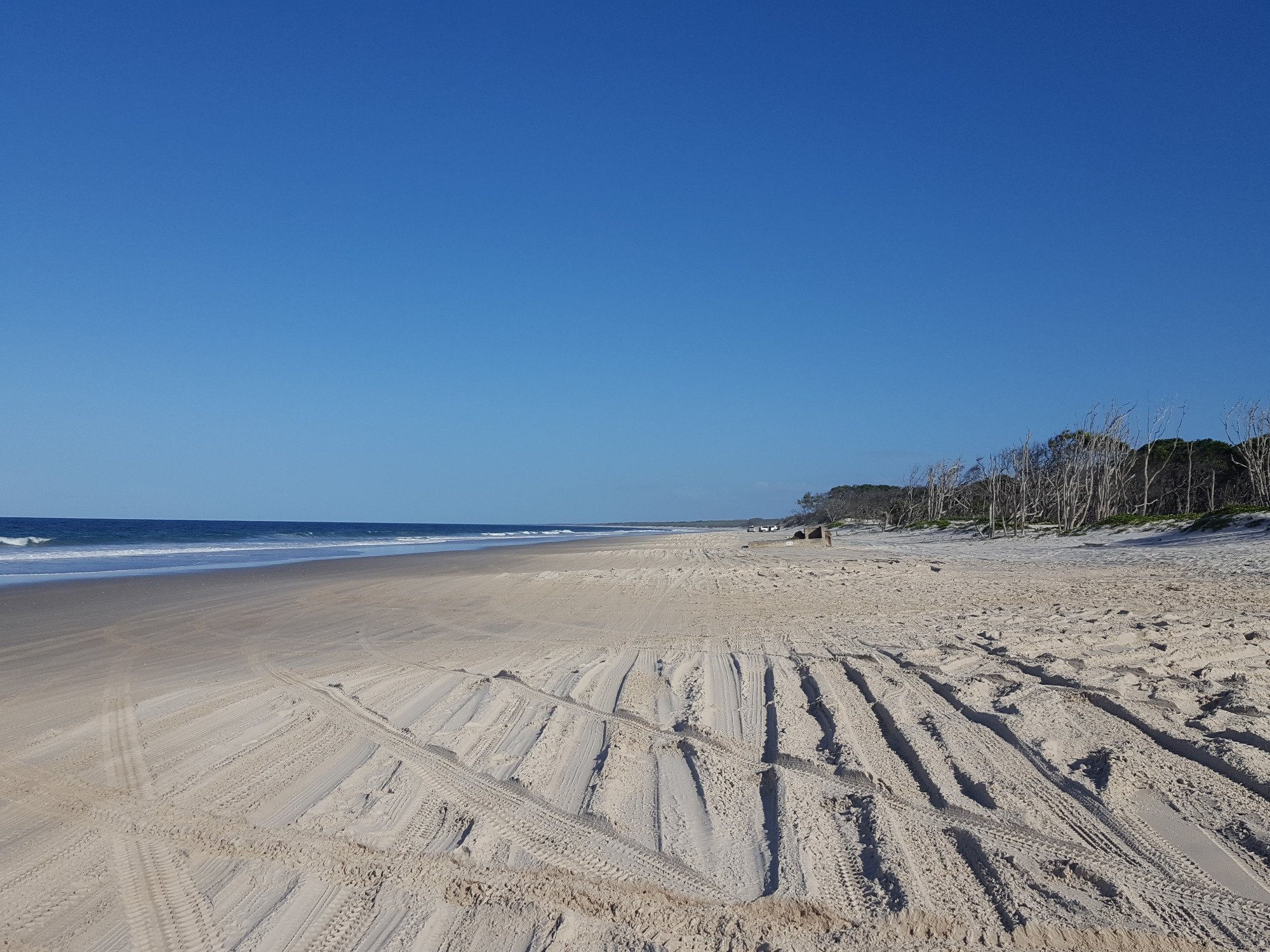 Bribie Island National Park All You Need to Know BEFORE You Go