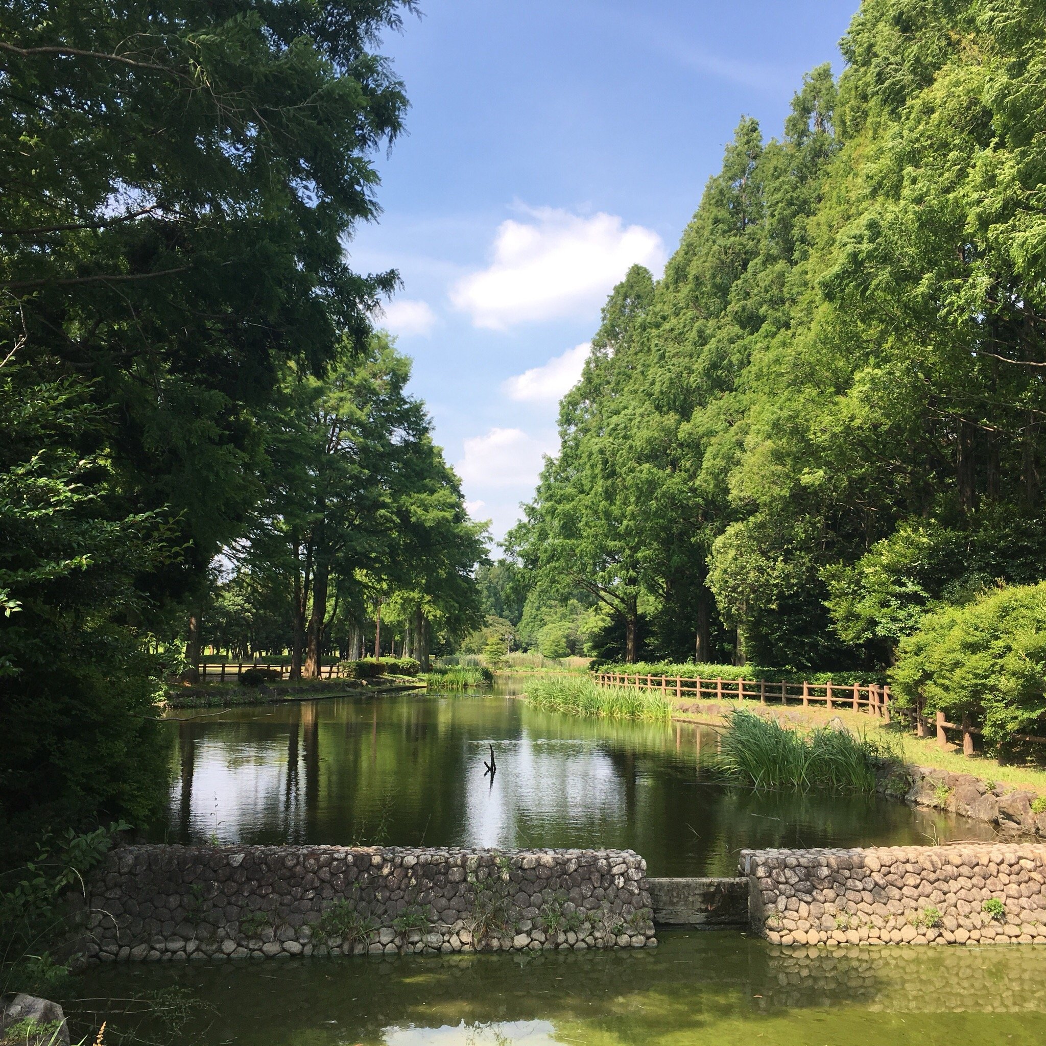 Yamazaki River All You Need to Know BEFORE You Go with Photos