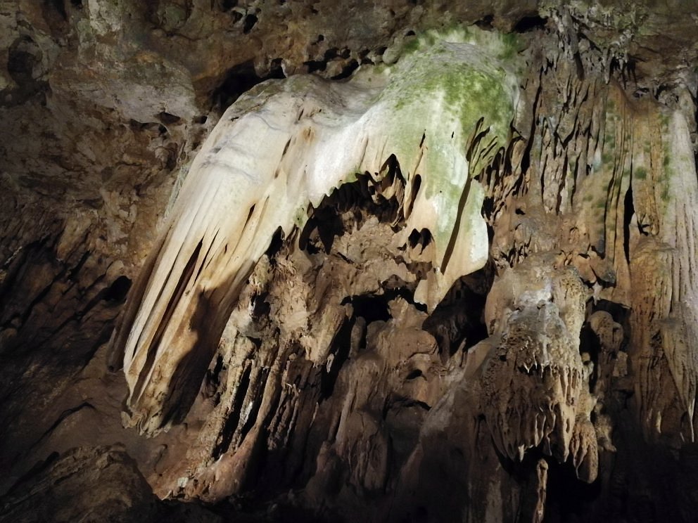 4 Zampe in Passerella alle Grotte di Pastena