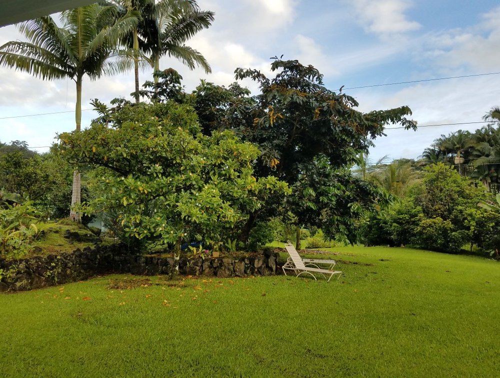 Old Hawaiian Bed & Breakfast by null