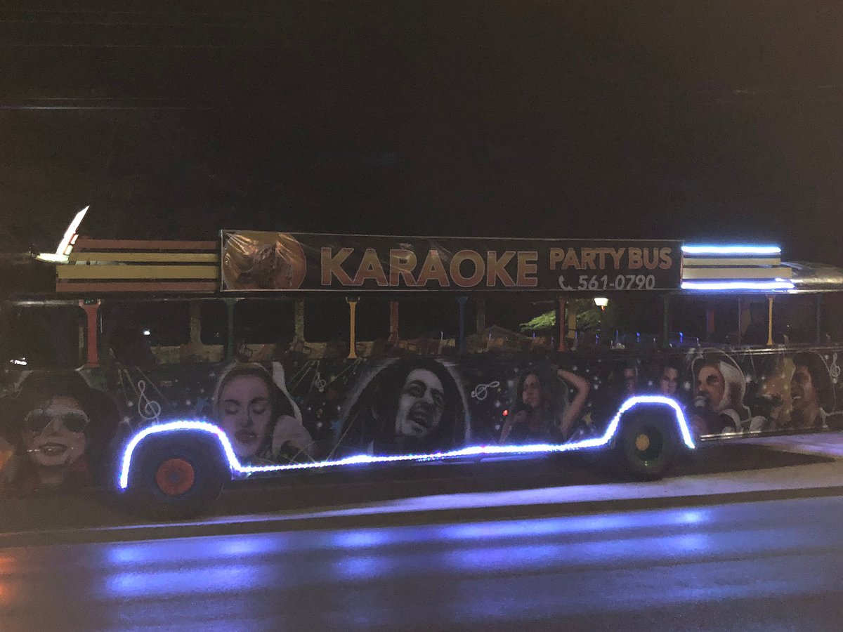 karaoke party