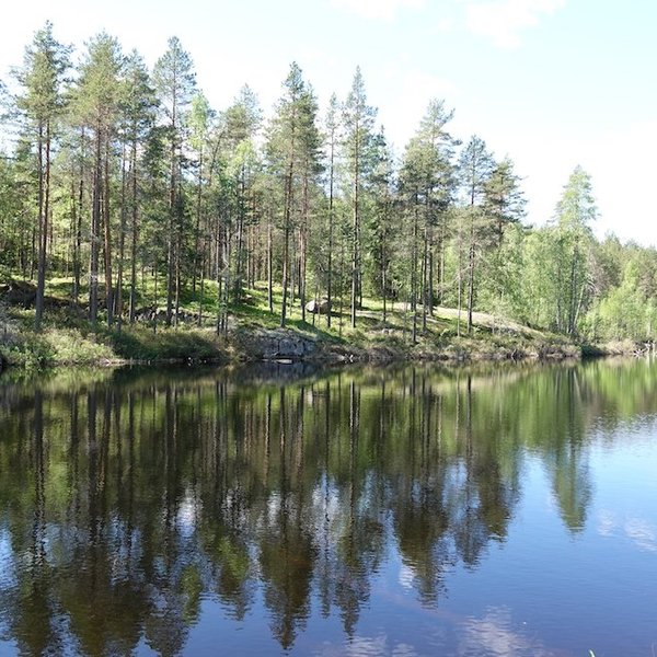 THE 15 BEST Things to Do in Kuhmo - 2024 (with Photos) - Tripadvisor