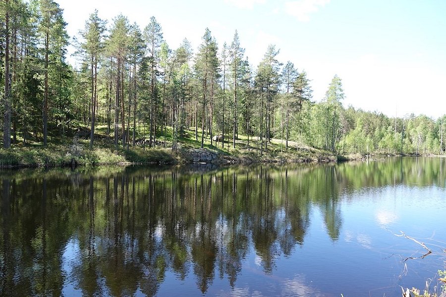 Lake Pielinen image