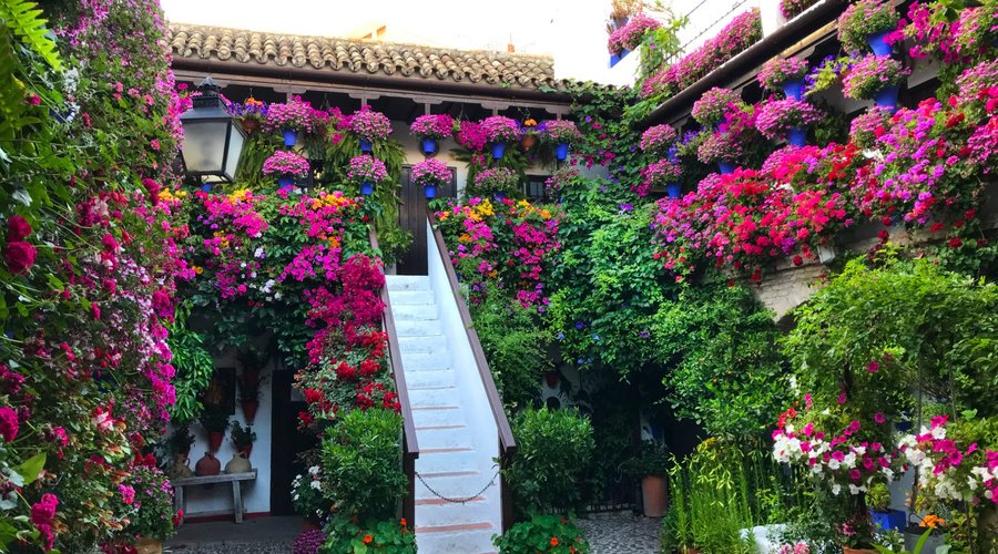 Patios de Cordoba (2025) - All You Need to Know BEFORE You Go (with Reviews)