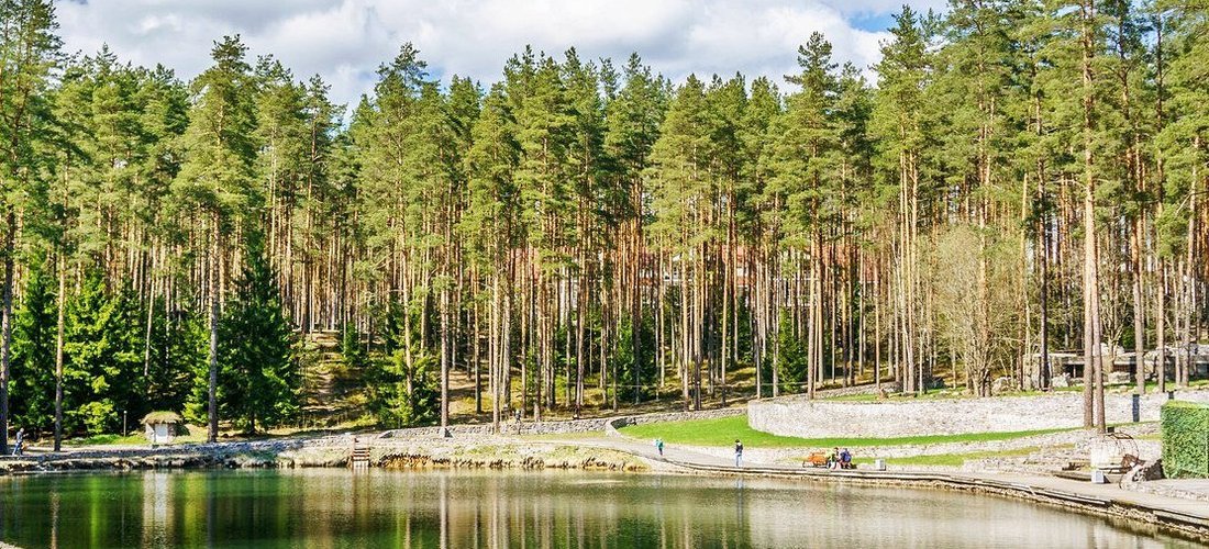 Рощино песочная 1. Райвола-Рощино.. Райвола парк Рощино. Рощино Ленинградская область Райвола. Райвола Песочная ул 1 городской посёлок Рощино.