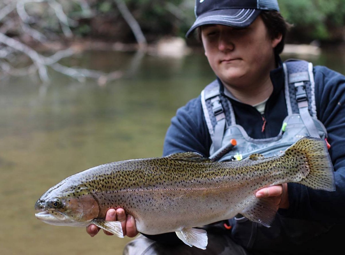 North Georgia Trout Online (NGTO)