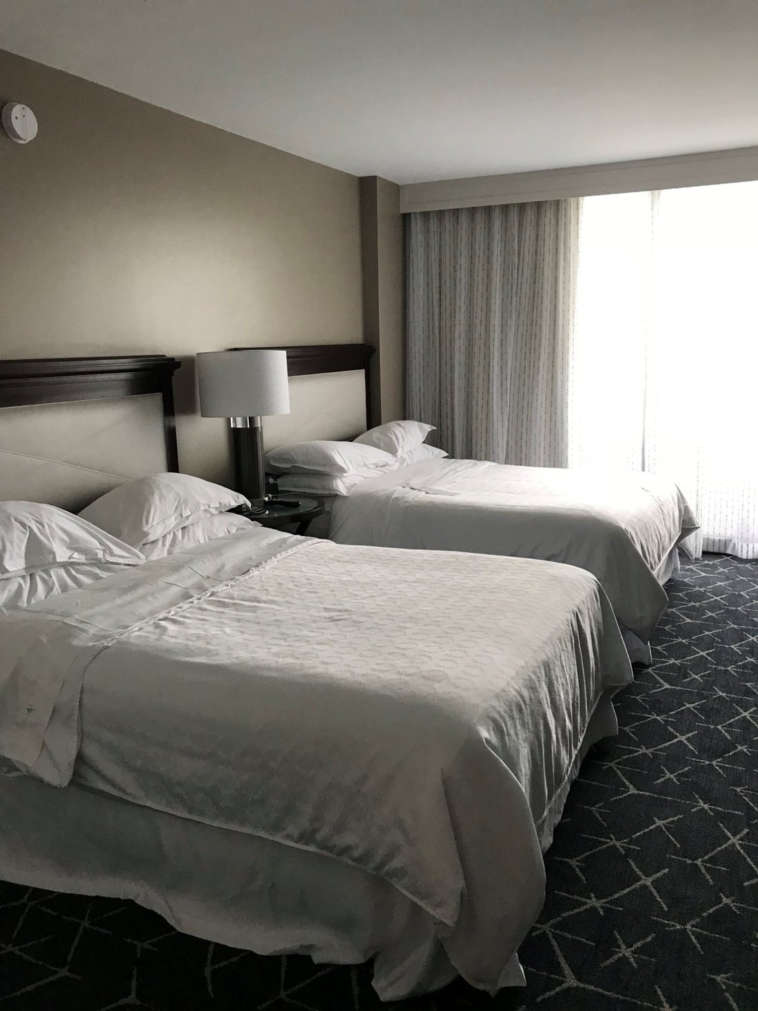 Sheraton Norfolk Waterside Hotel 186 ̶5̶7̶6̶ Updated 2022 Prices And Reviews Va