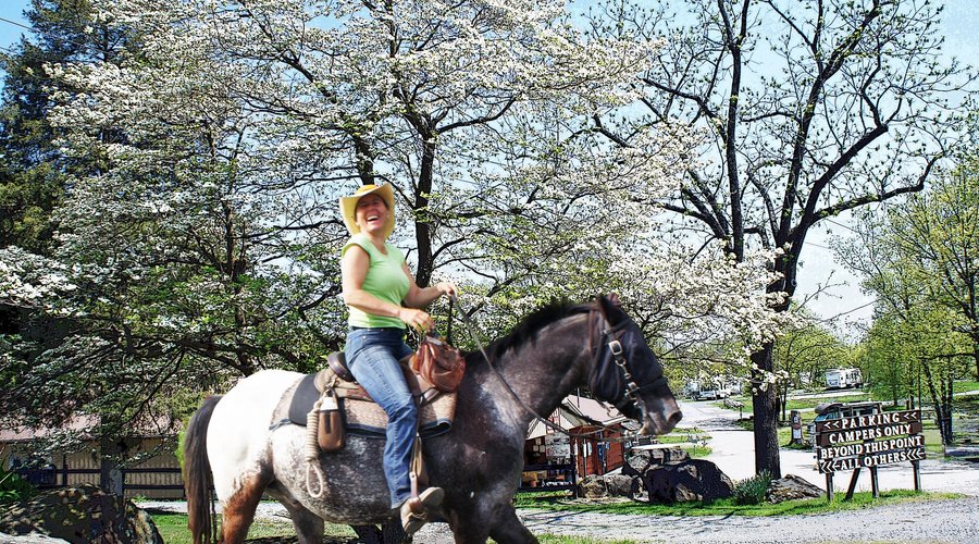 Horse camping with direct access to the Gettysburg Horse Trails at Artillery Ridge Camping Resor