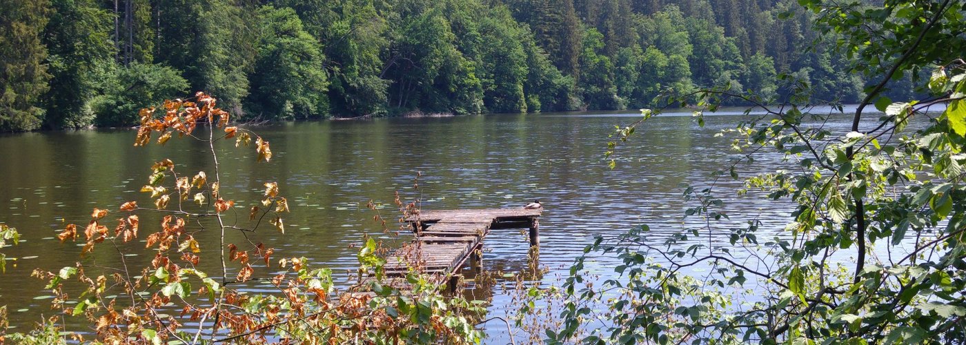 Hackensee - a lake in the near from Holzkirchen