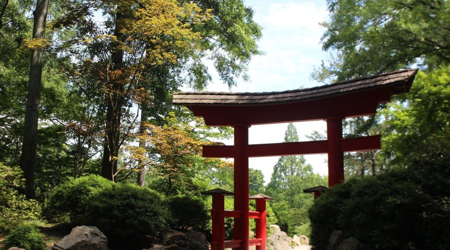Japanese Garden !