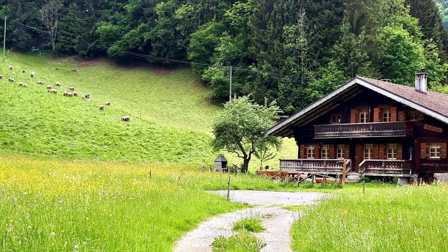 Situado a localidade dd Champéry, 
Aqui podemos ter varias ativadades de rappel.
Paint ball e os