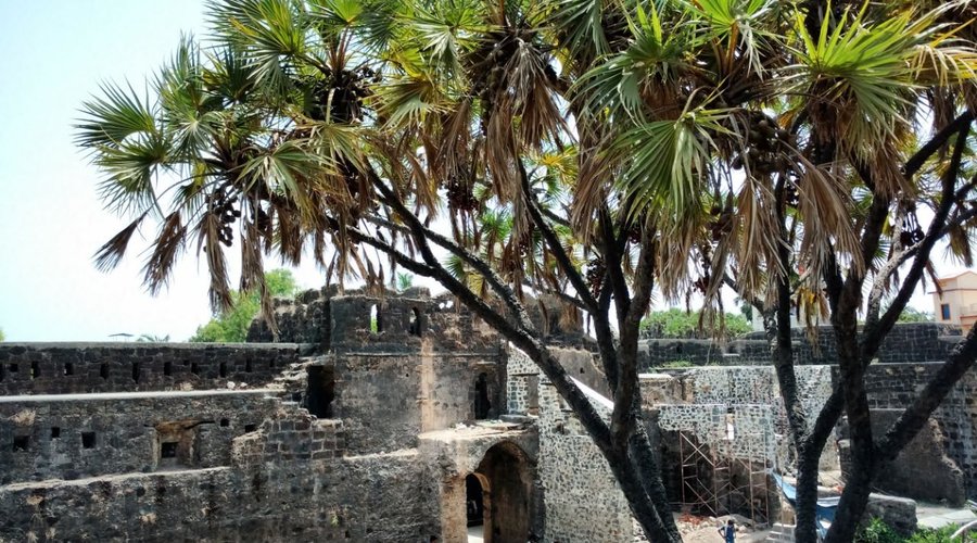 Picture of Kelwa