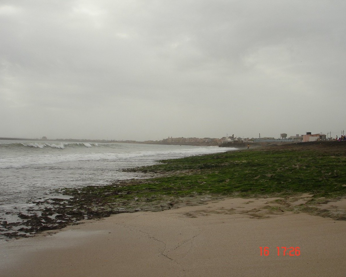 CHOWPATY BEACH (2024) All You Need to Know BEFORE You Go (with Photos)