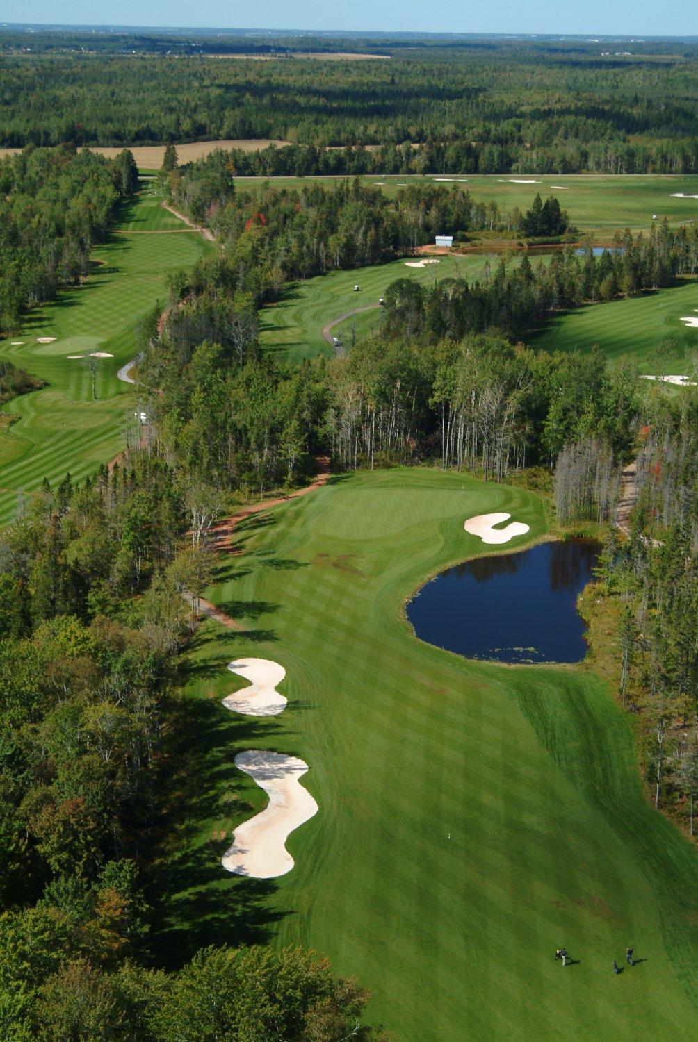 AVONDALE GOLF COURSE Vernon Bridge Qu SABER Antes De Ir   Ariel View 