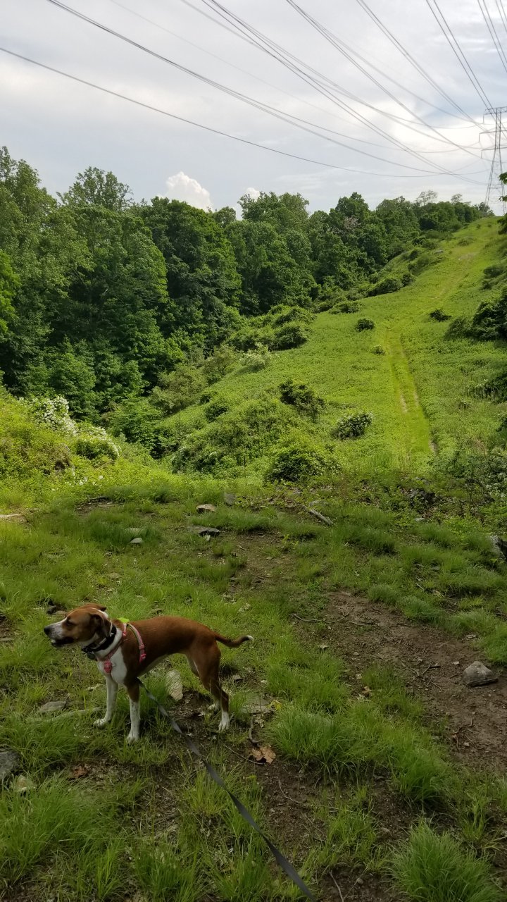 Sprain ridge discount park mountain biking