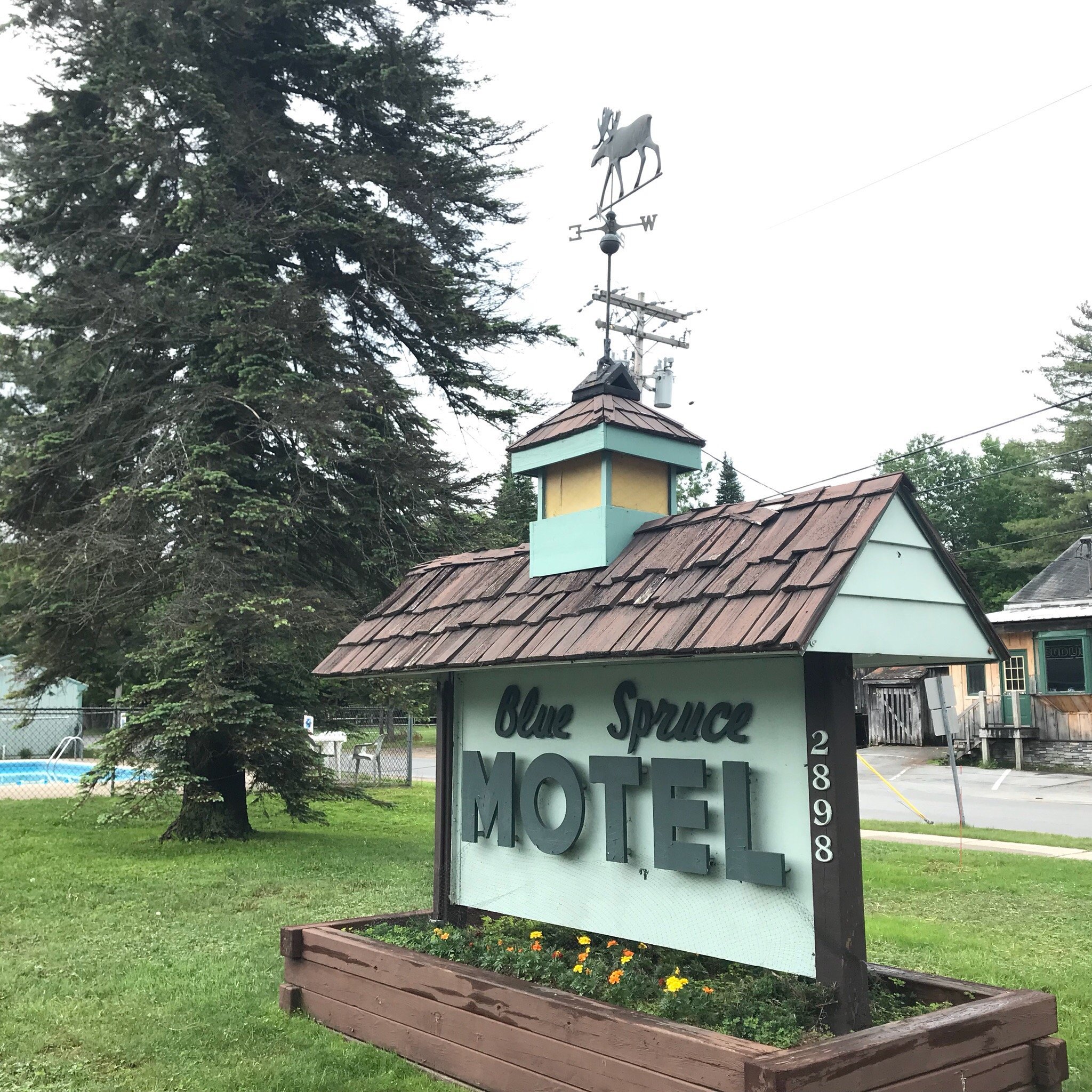 BLUE SPRUCE MOTEL Old Forge Motel Reviews Photos Rate Comparison   Photo1jpg 