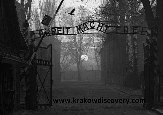 krakow discovery tours