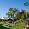 What to do and see in Milawa, Victoria: The Best Things to do