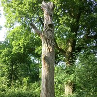 Tree art