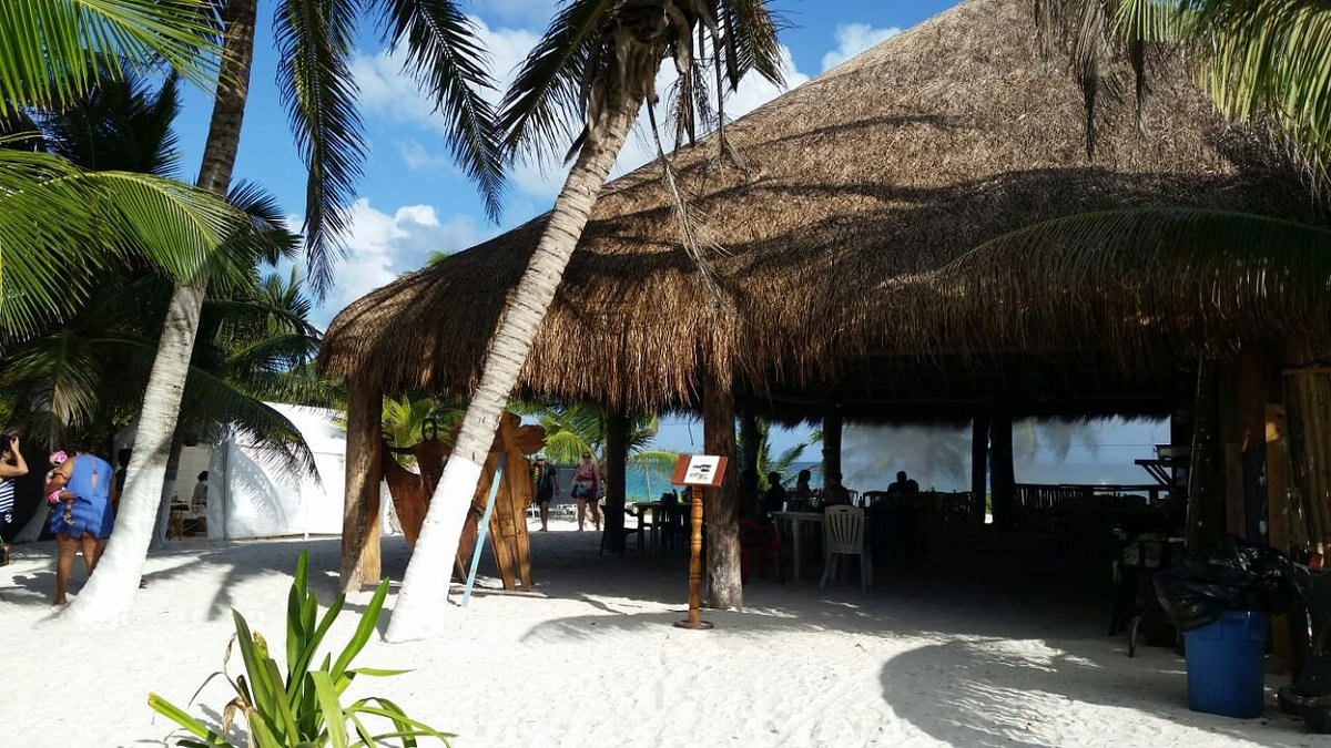 camping tulum sobre la playa