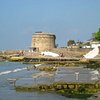 Things To Do in Martello Tower, Restaurants in Martello Tower
