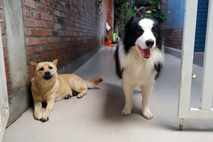 Trung tâm dịch vụ & Phòng sự kiện