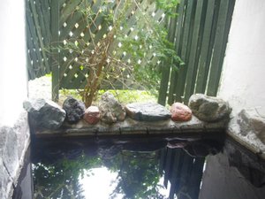 客室 & スイート