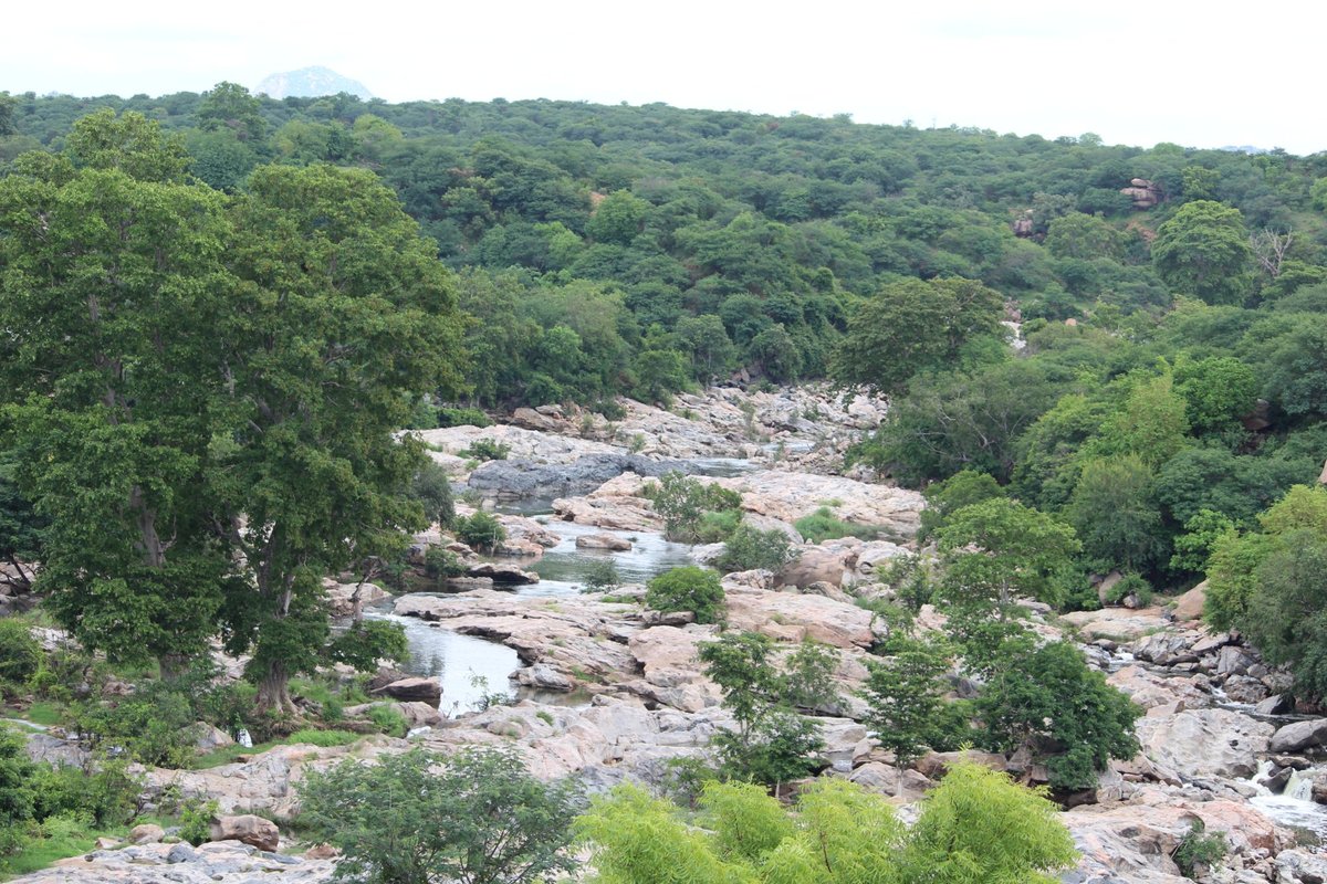 CHUNCHI FALLS (Kanakapura) - All You Need to Know BEFORE You Go