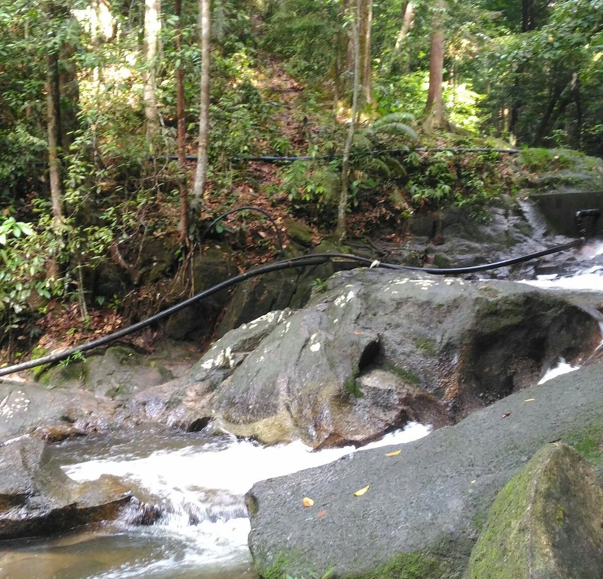 Tekala semenyih sungai Semenyih