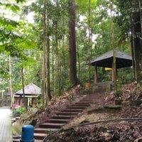 Sungai Tekala Recreation Forest - All You Need to Know BEFORE You Go (2024)