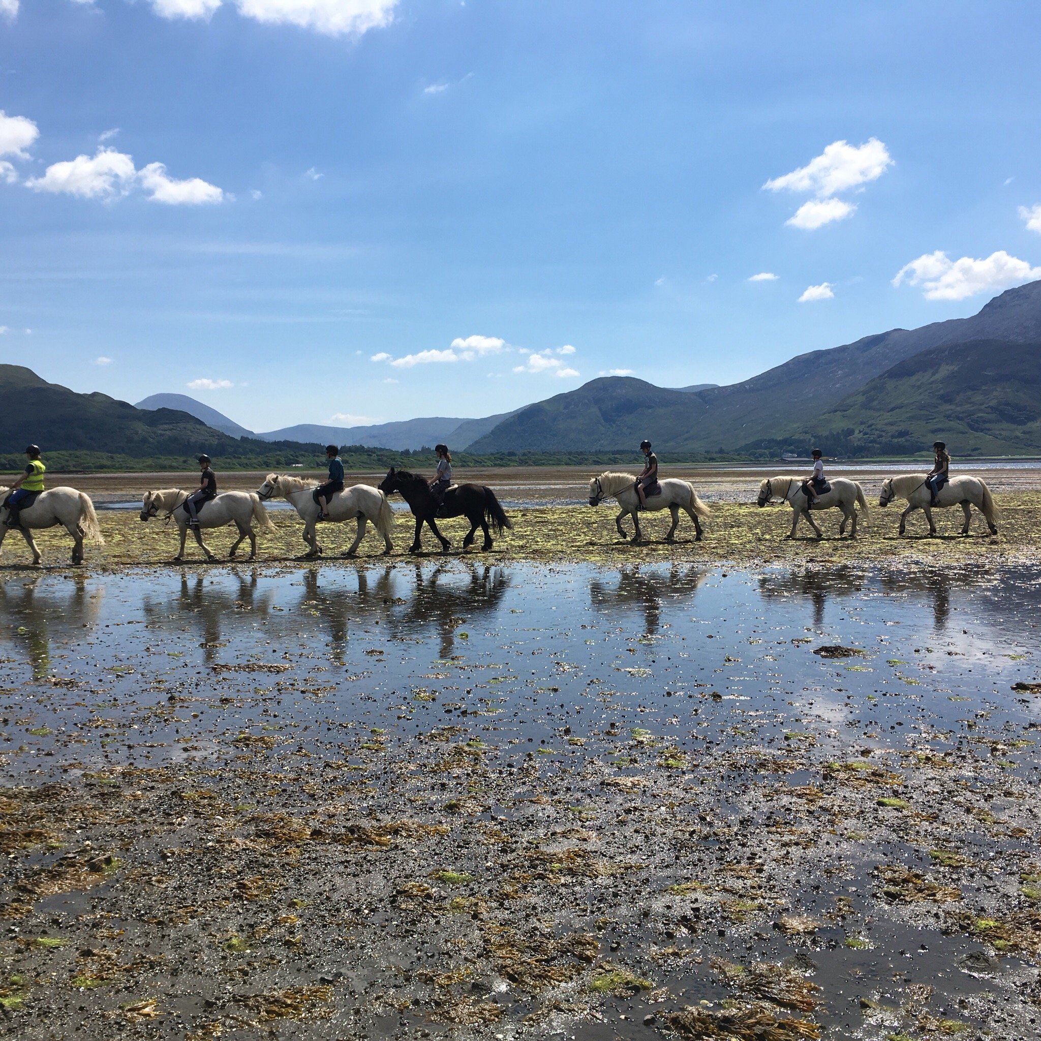 Pony trekking near me hotsell