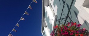 The Victoria Hotel in Alderney, image may contain: Potted Plant, Planter, City, Neighborhood