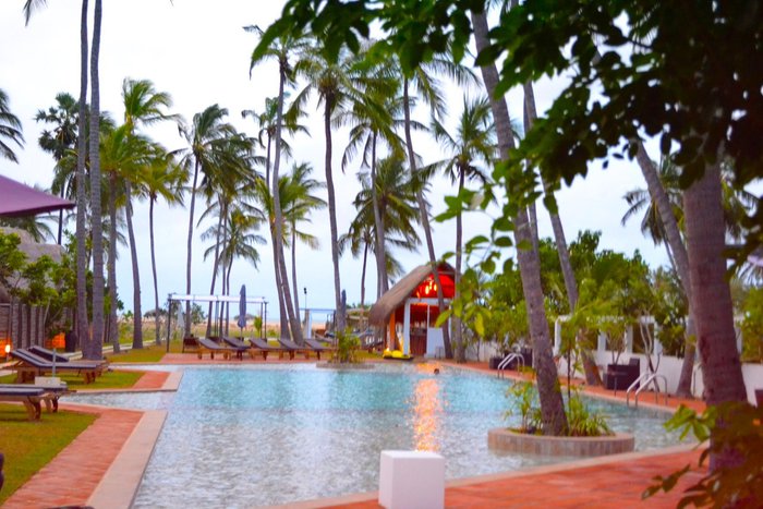 Blue Whale Beach Resort - Pool: Fotos und Bewertungen - Tripadvisor