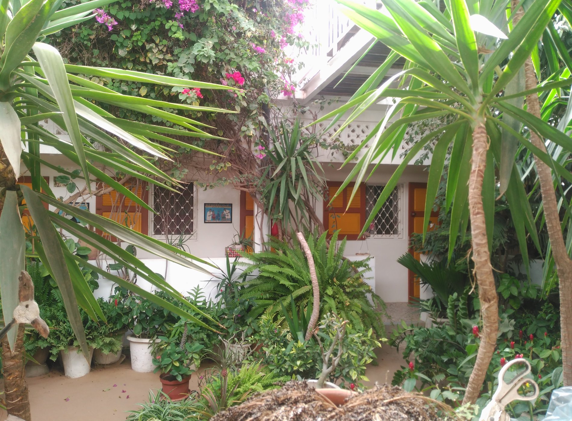 Espace Thialy image