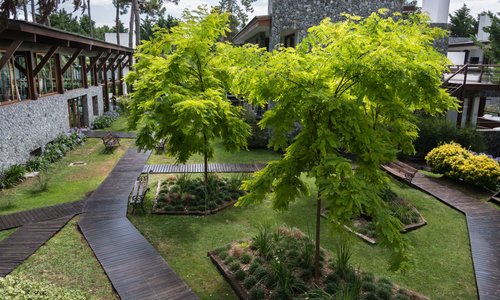 Caminerias y jardines impecables..