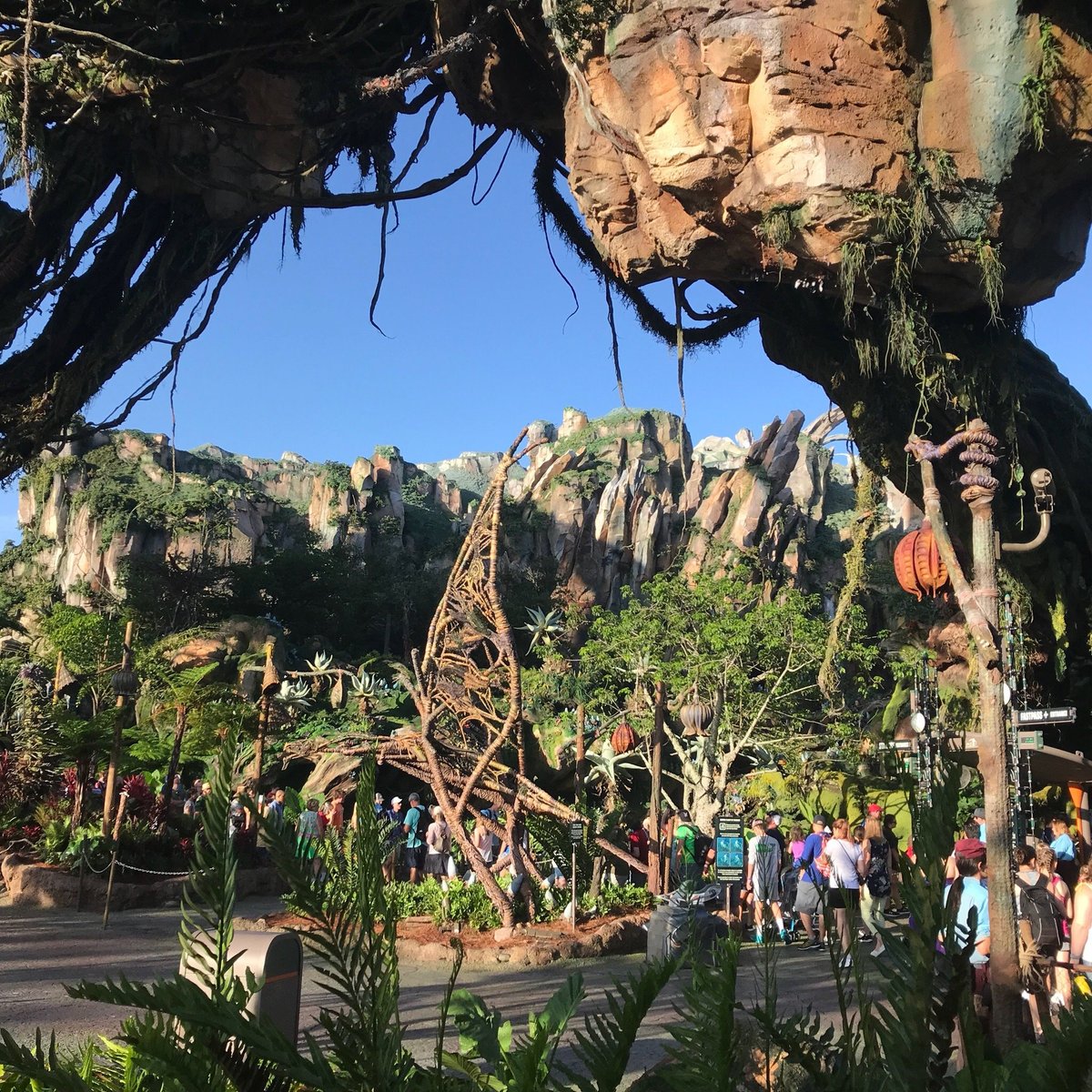 Top Tips for Riding Avatar Flight of Passage