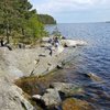 Things To Do in Koionsaari Island, Restaurants in Koionsaari Island