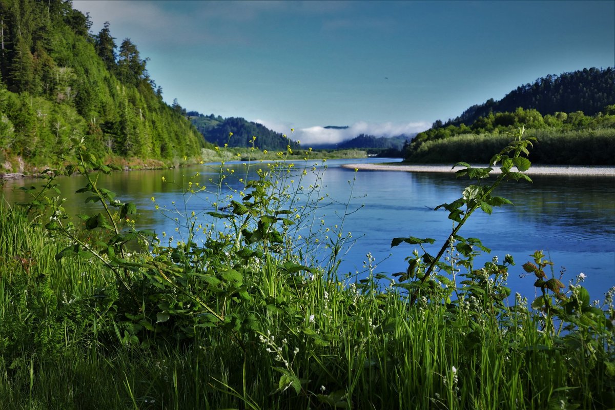 Klamath River Rv Park CalifÓrnia 44 Fotos Comparação De Preços E