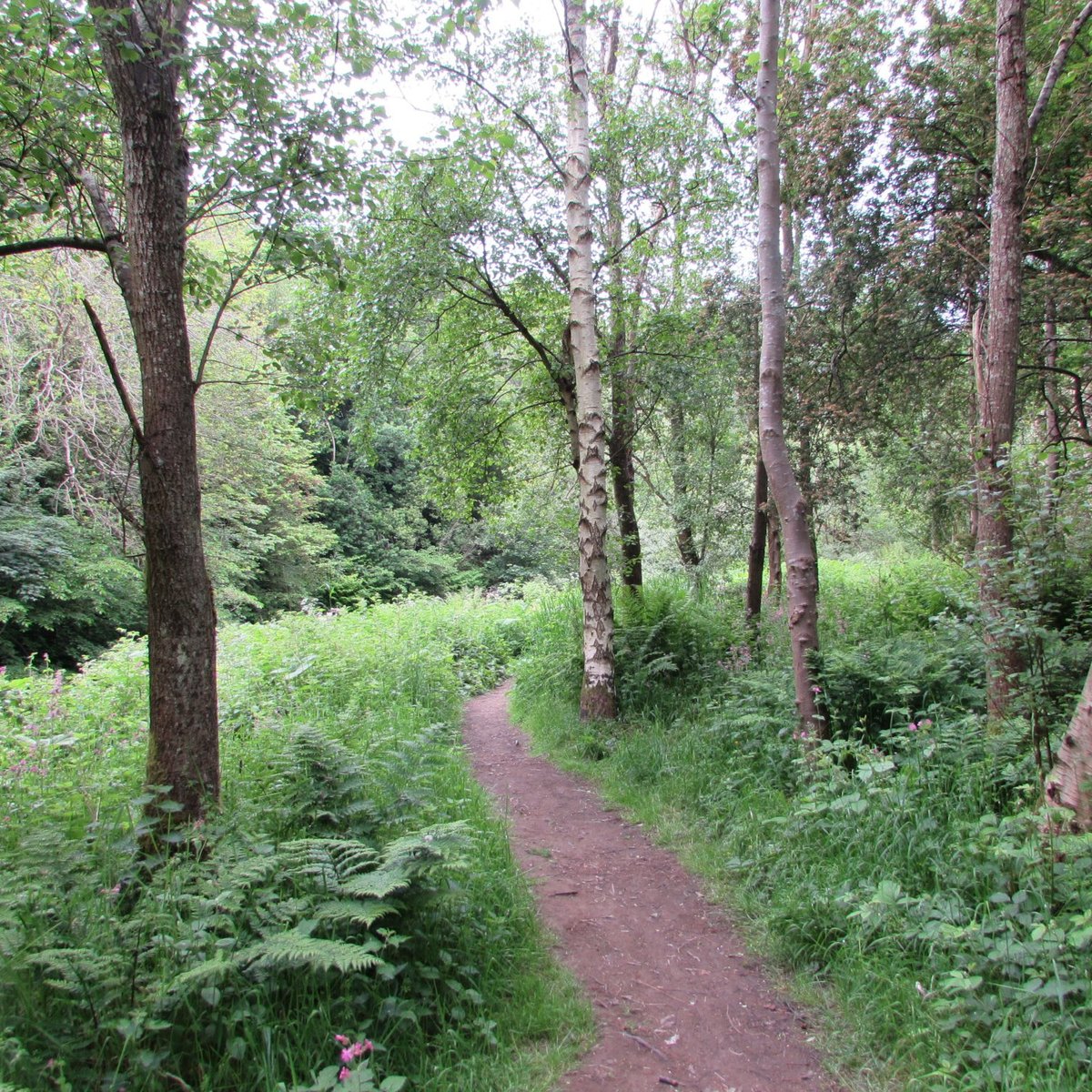 Roslin Glen Country Park (2024) All You Need To Know Before You Go 