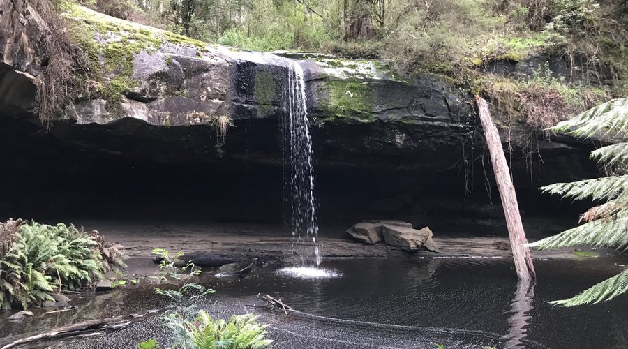 Lower Kalimna Falls