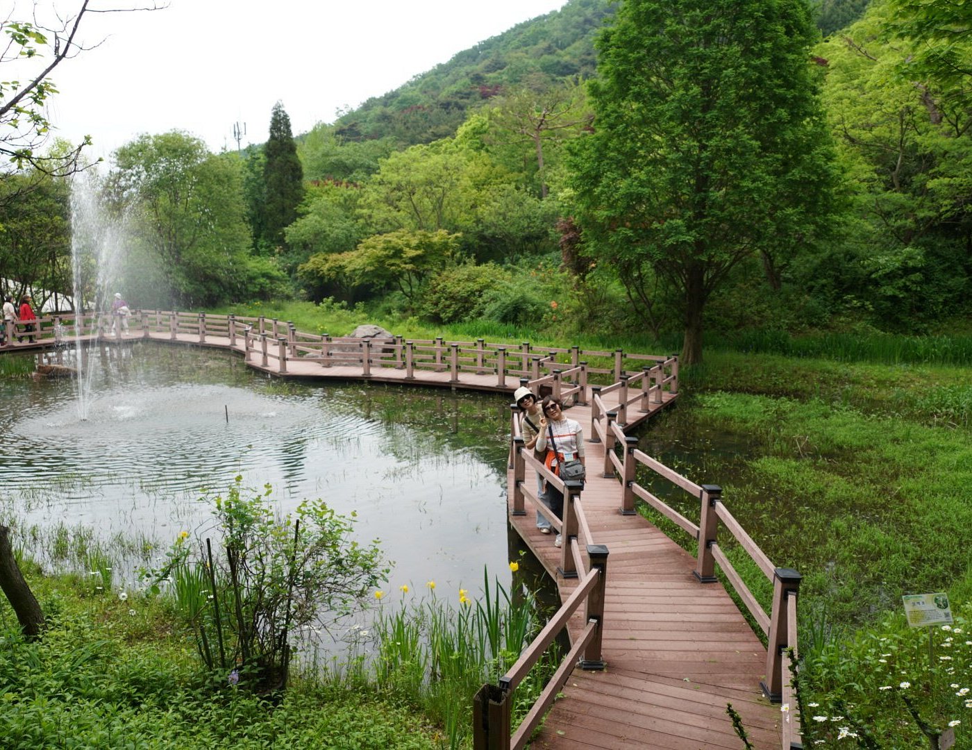 Du lịch Cheongyang-gun năm 2025: hoạt động giải trí tại Cheongyang-gun, Hàn Quốc | Tripadvisor Du lịch Cheongyang-gun năm 2025: hoạt động giải trí tại Cheongyang-gun, Hàn Quốc | Tripadvisor