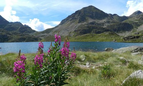 Etang dans la vallée de l'Aston