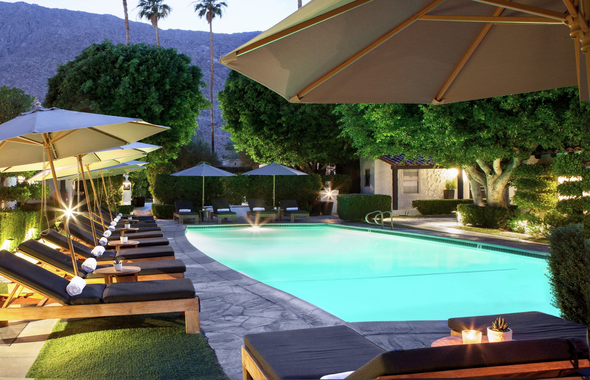 THE 10 BEST Pet Friendly Hotels in Palm Springs of 2024 with