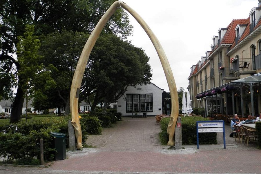 Whale Jaws image