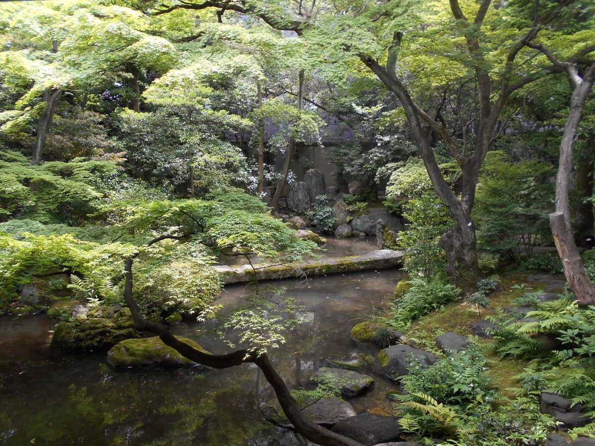 KOSEI-IN TEMPLE (Kyoto) - All You Need to Know BEFORE You Go